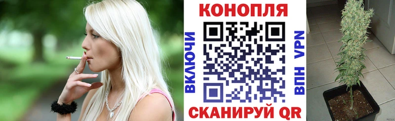 купить   kraken сайт  Каннабис AK-47  Кемерово 